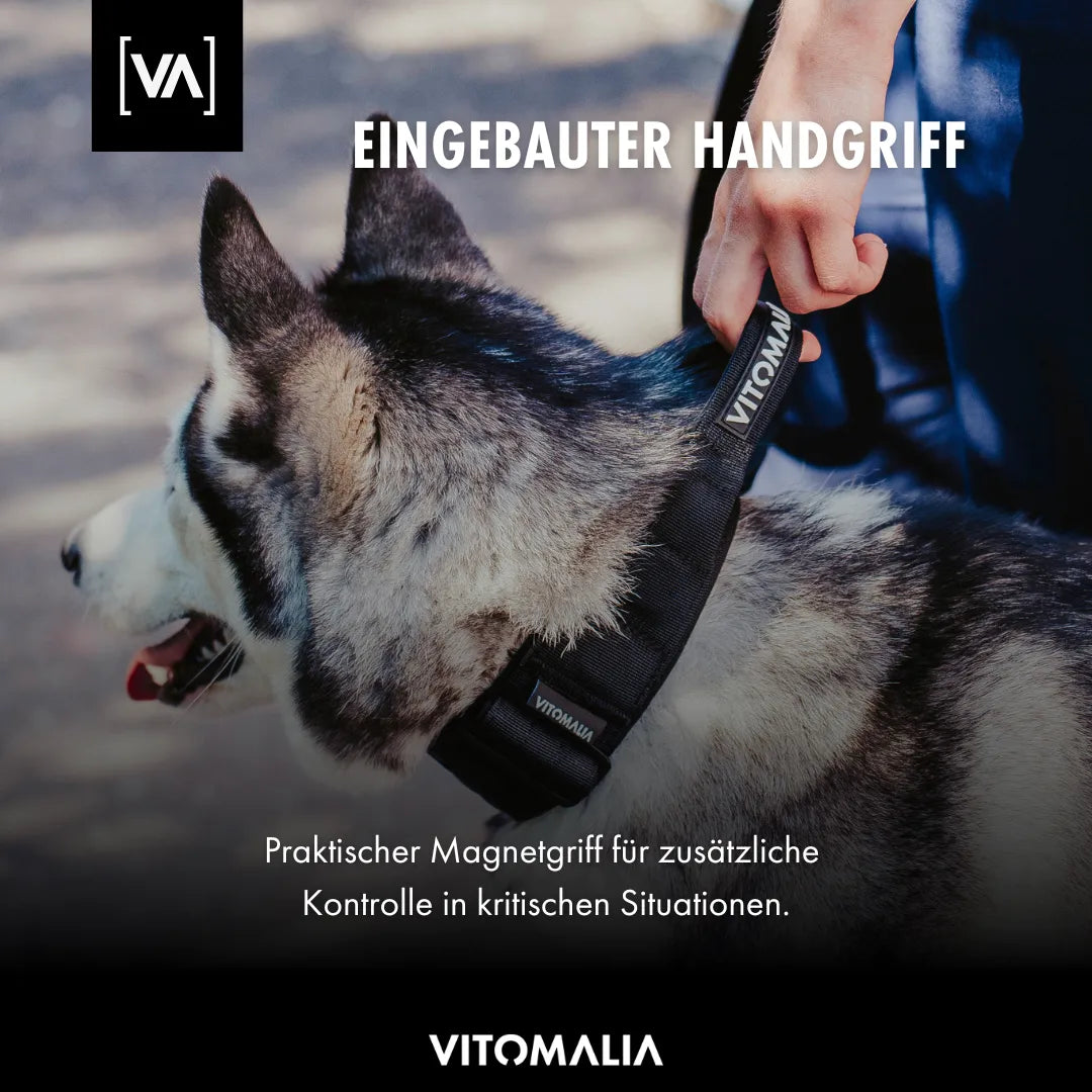 vitomalia-extreme-edition-hundehalsband-schwarz-taktisch image 7