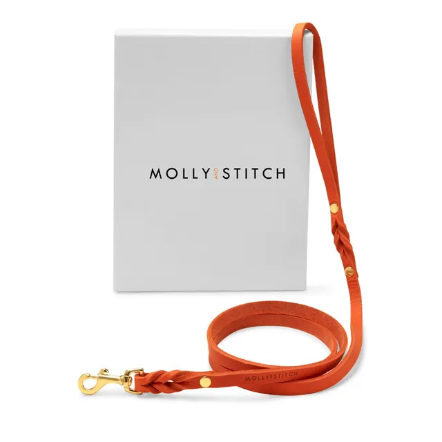 molly-and-stitch-butter-leather-city-hundeleine-140-cm-mango image 1