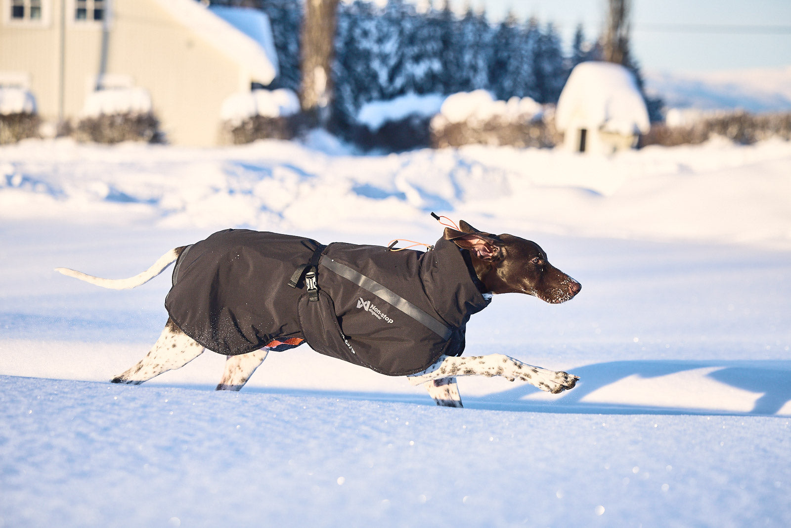 non-stop-dogwear-trekking-insulated-dog-jacket-hundejacke image 4