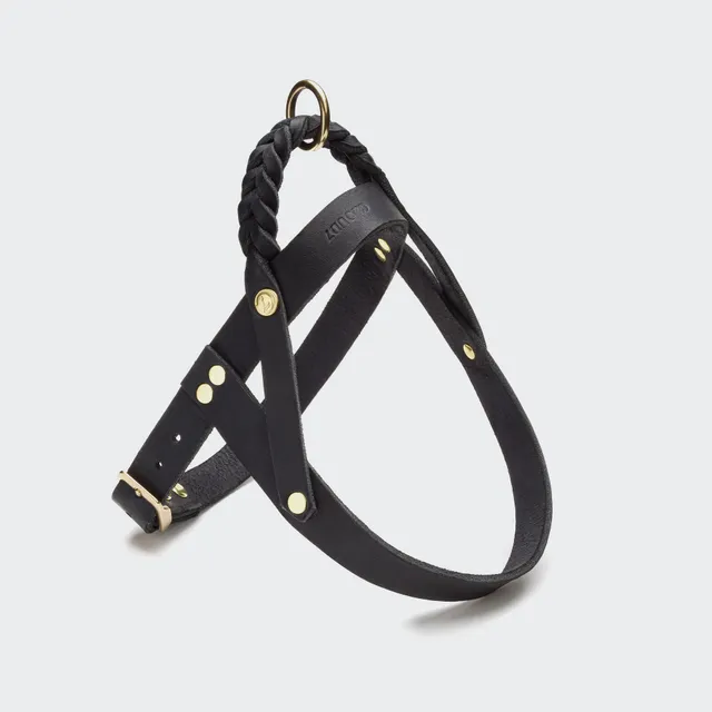 cloud7-central-park-hundegeschirr-leder-black-gold image 1