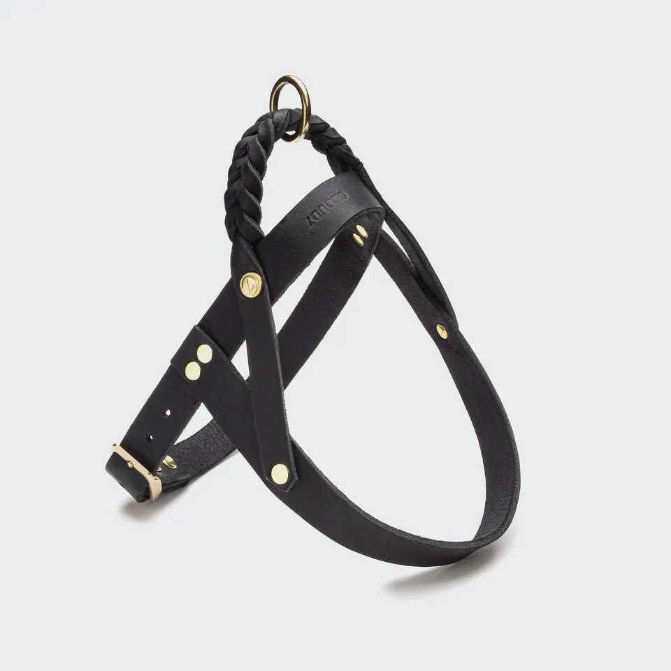 cloud7-central-park-hundegeschirr-leder-black-gold image 1