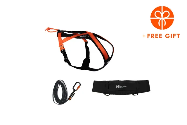 non-stop-dogwear-rush-kit-orange-black-lauf-set-mit-geschirr-und-leine image 1