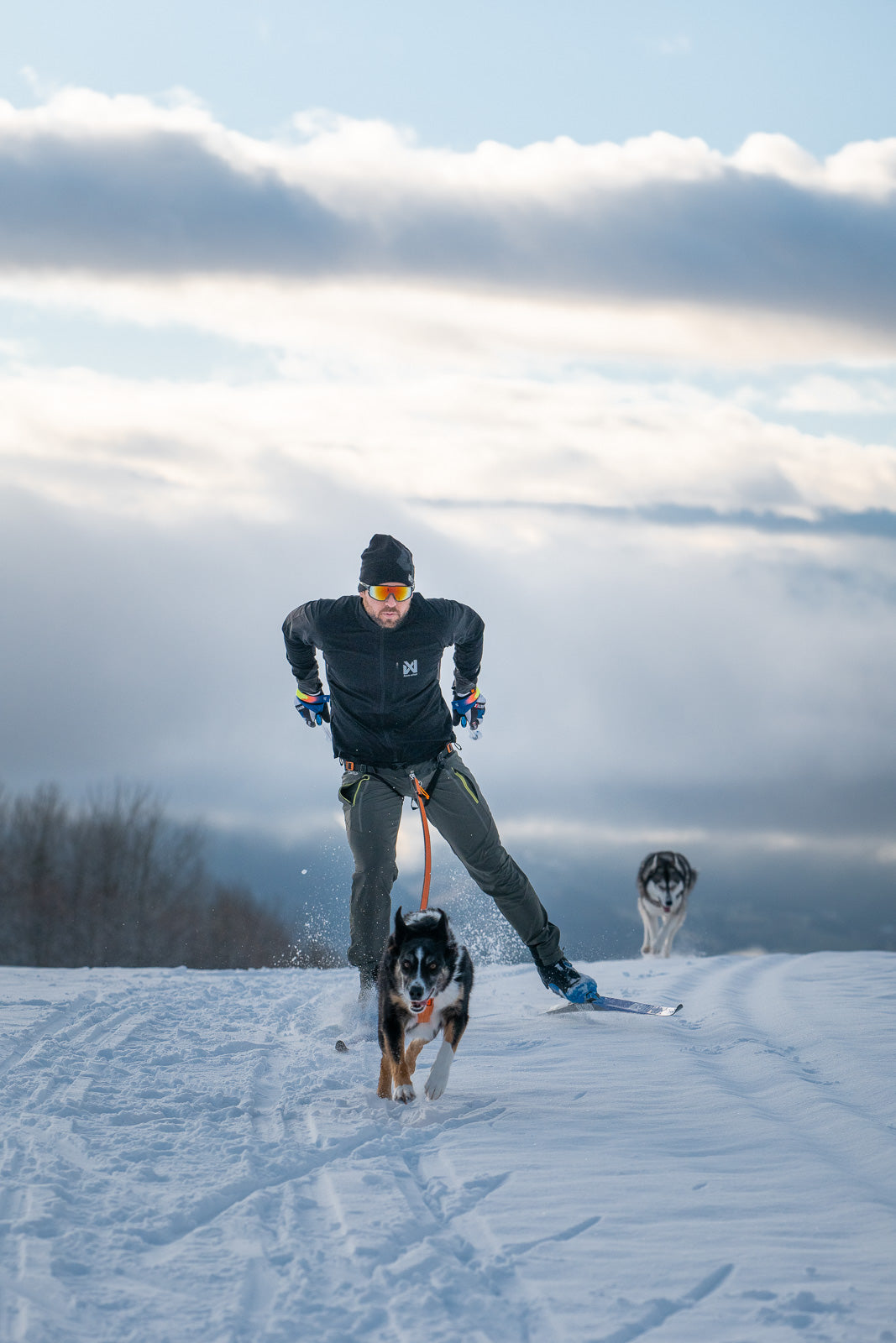 non-stop-dogwear-canix-warm-up-jacket-herren image 3