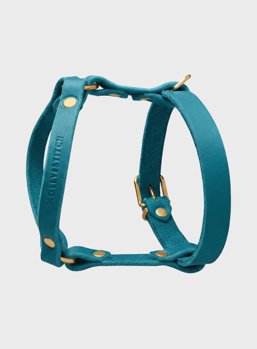 molly-and-stitch-butter-leather-y-geschirr-fiji-blue image 2