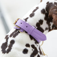 william-walker-leder-hundehalsband-lavender-lila image 8