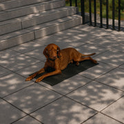 cloud7-dog-cooling-mat-aktiv-dark-olive image 3