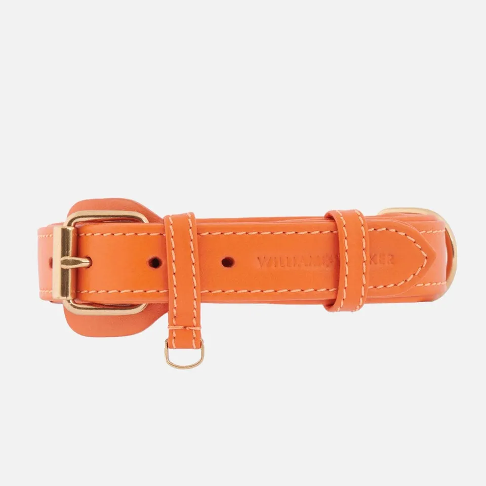 william-walker-leder-hundehalsband-amber-orange image 1