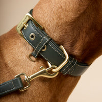 william-walker-luxe-glattleder-hundehalsband-forest-dunkelgr-n image 5