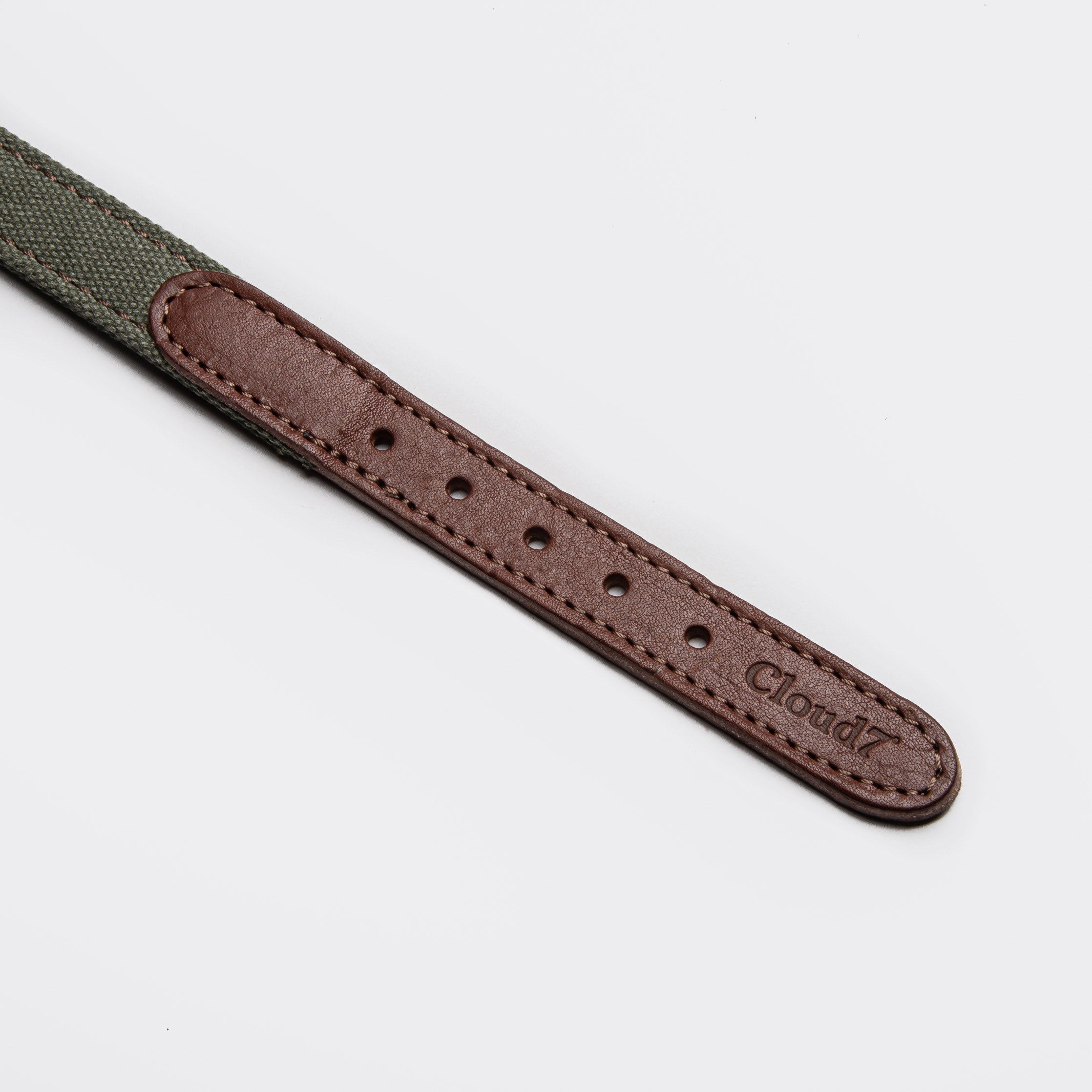 cloud7-tivoli-hundehalsband-olive image 4