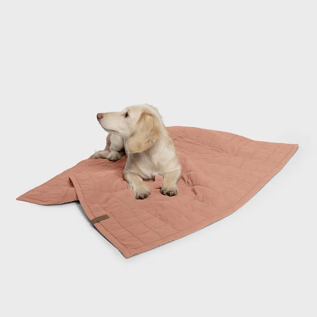 cloud7-lttl-hundedecke-dusty-rose-f-r-welpen-und-kleine-hunde image 1