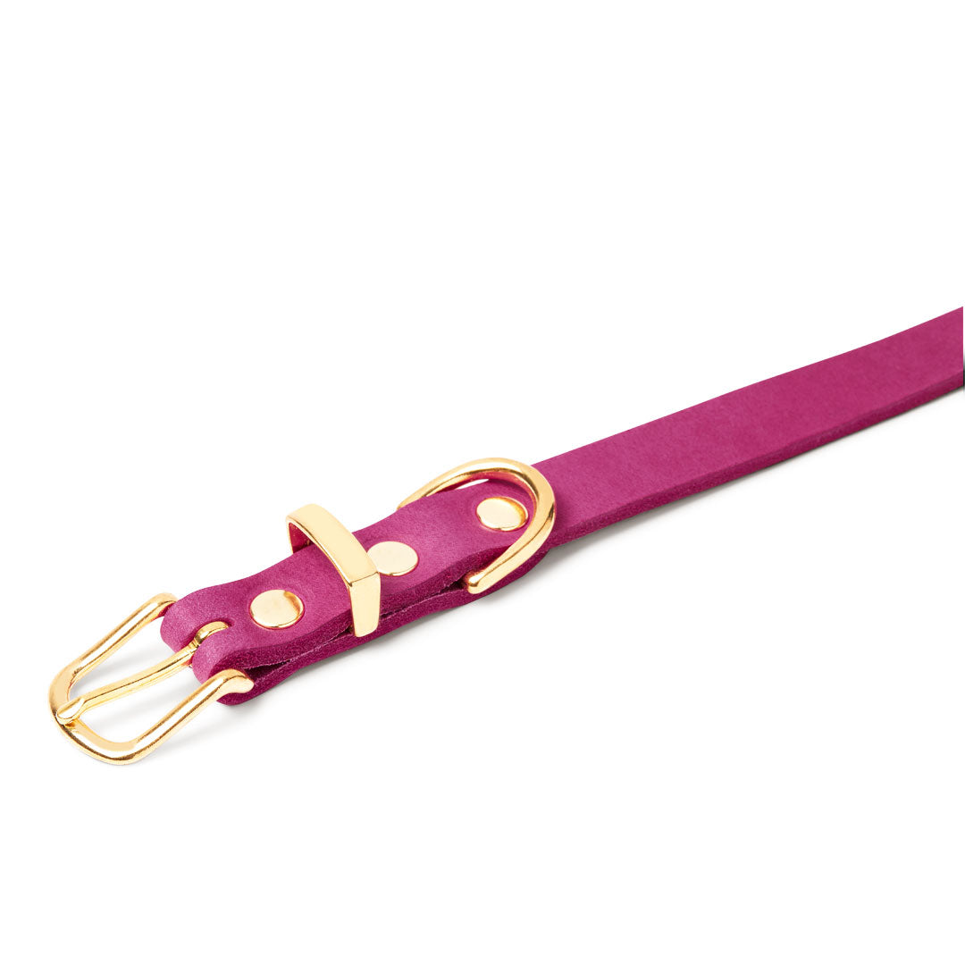 molly-and-stitch-butterleder-hundehalsband-flamingo image 4