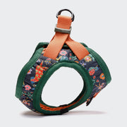 cloud7-holly-park-step-in-hundegeschirr-kleine-hunde image 3