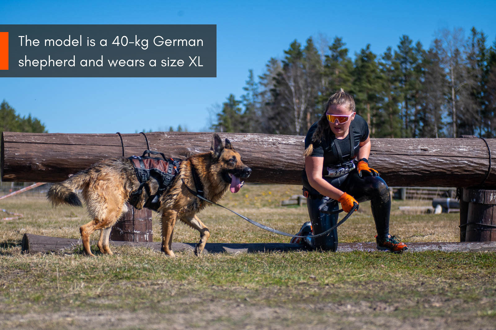 non-stop-dogwear-rock-harness-long-all-in-one-zuggeschirr image 2