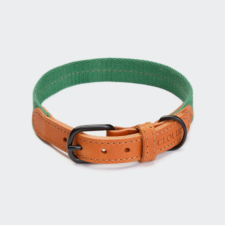 cloud7-madeira-hundehalsband-amber image 1