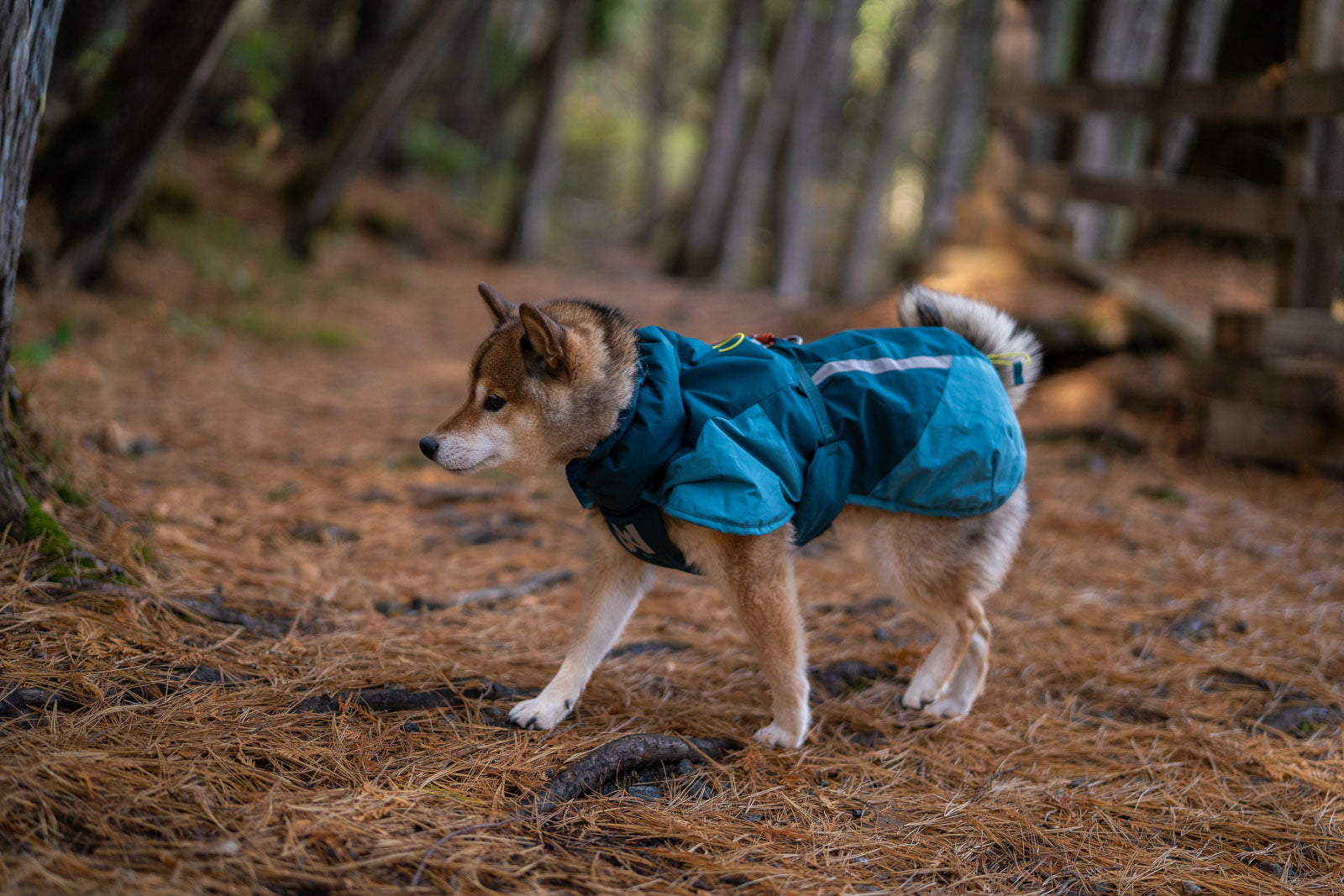 non-stop-dogwear-glacier-jacket-3-0-winterjacke-isoliert image 5