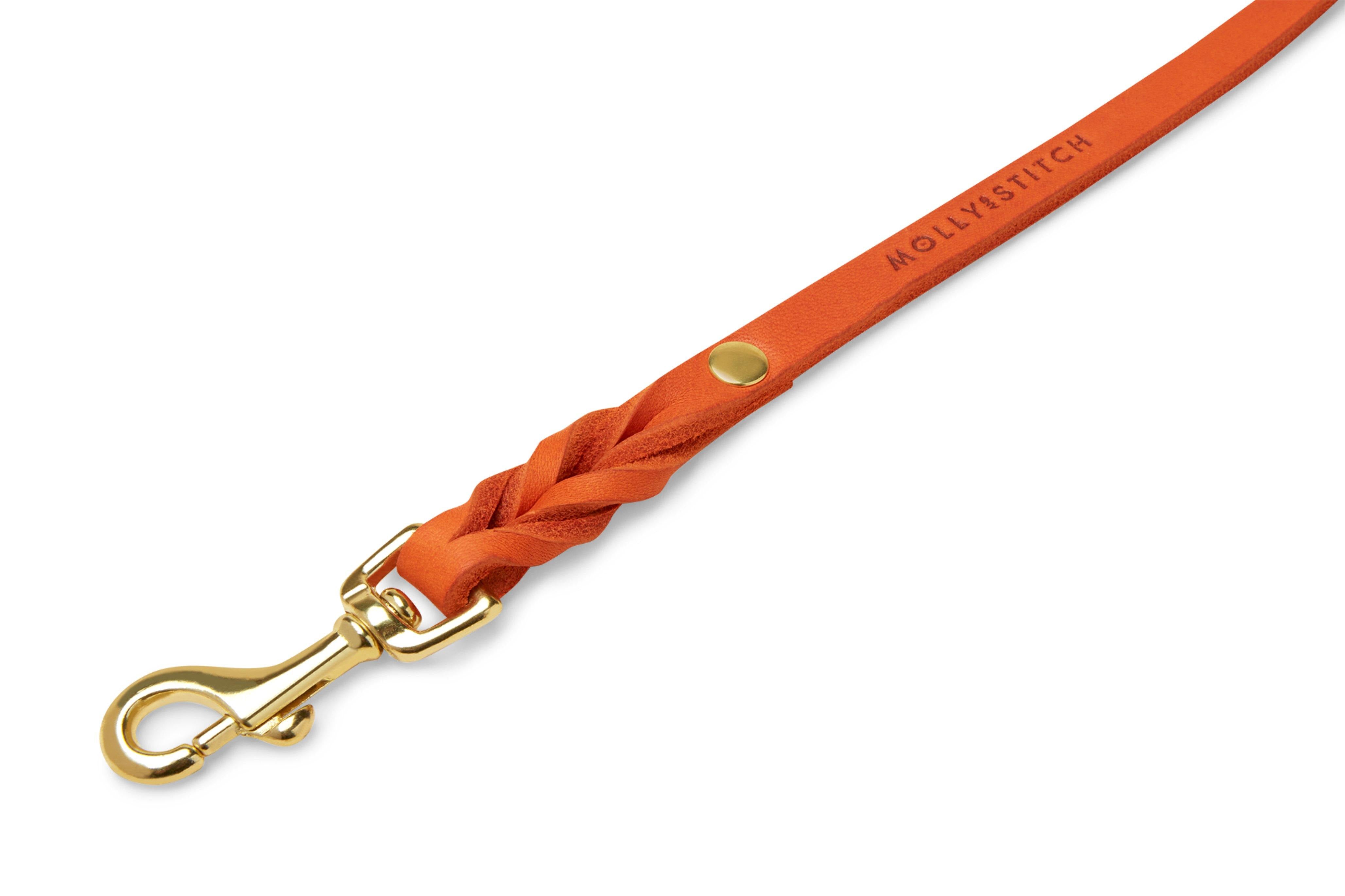 molly-and-stitch-butter-leather-hundeleine-mango-3x-verstellbar-200-cm image 5