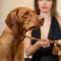william-walker-glattleder-hundehalsband-caramel-braun image 8