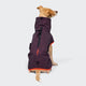 cloud7-aktiv-hunderegenmantel-aubergine-orange-2 image 4