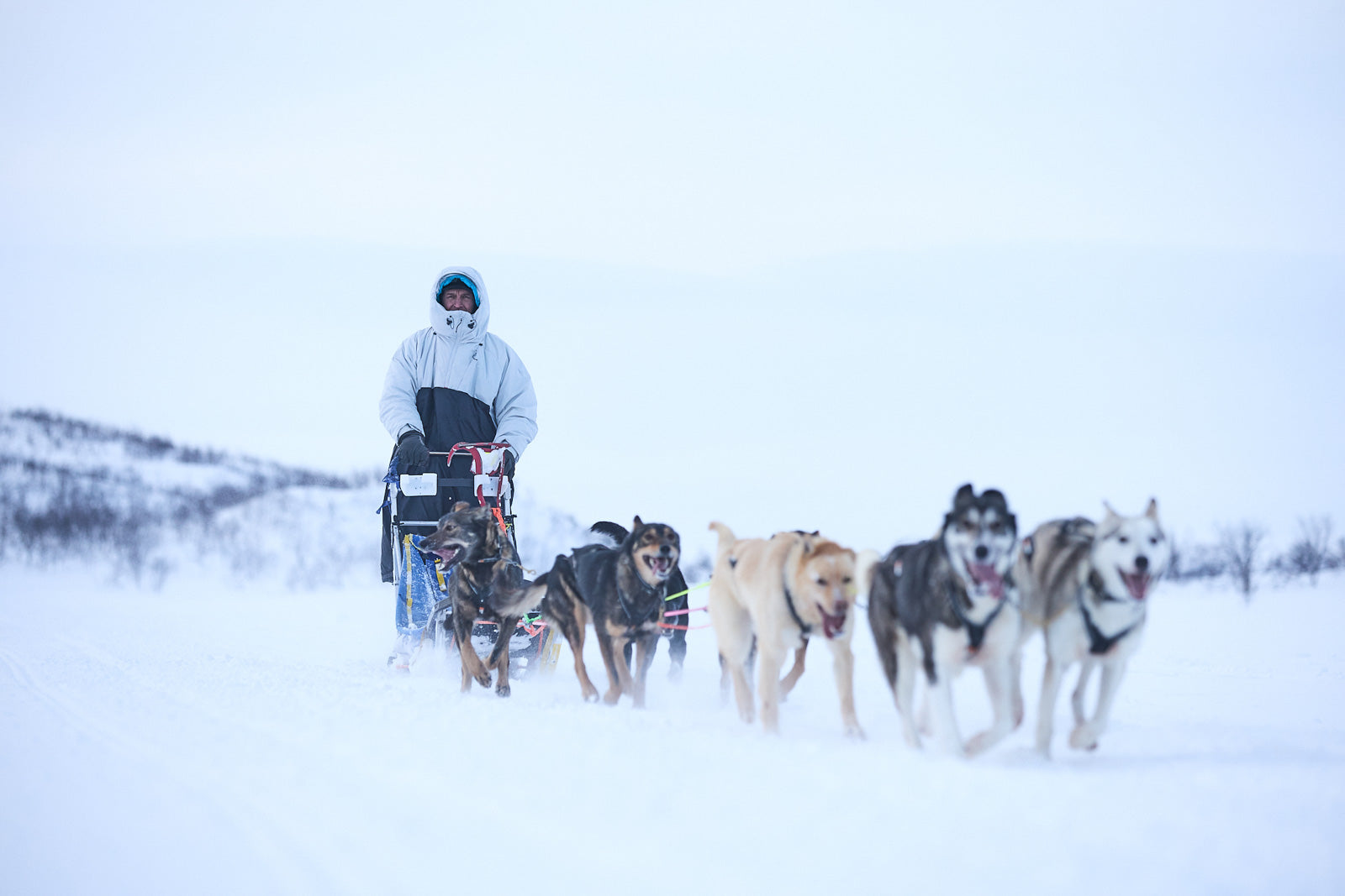 non-stop-dogwear-tundra-anojakka-2-0-musher-anorak image 2