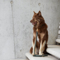 william-walker-twisted-dark-moss-leder-hundehalsband-dunkelgr-n-geflochten image 6