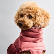 cloud7-dog-coat-alaska-faded-rose-extra-warmer-winter-hundemantel image 6