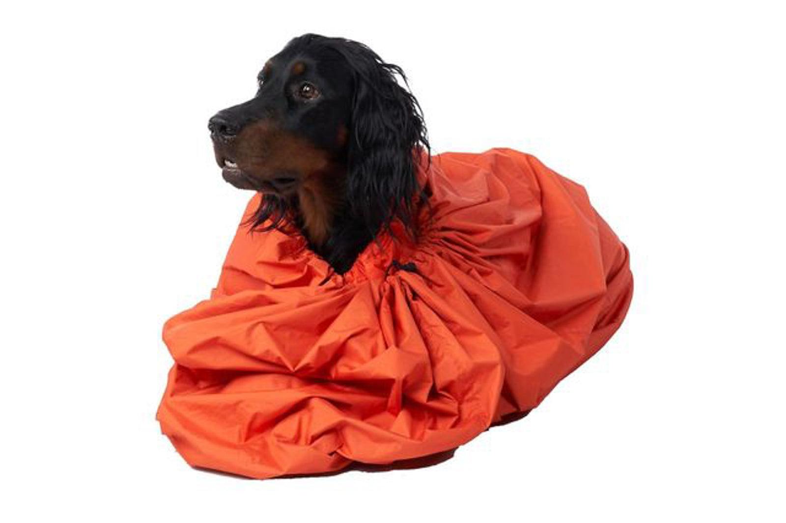 non-stop-dogwear-protector-bivvy-bag-hunde-schlafsack image 3