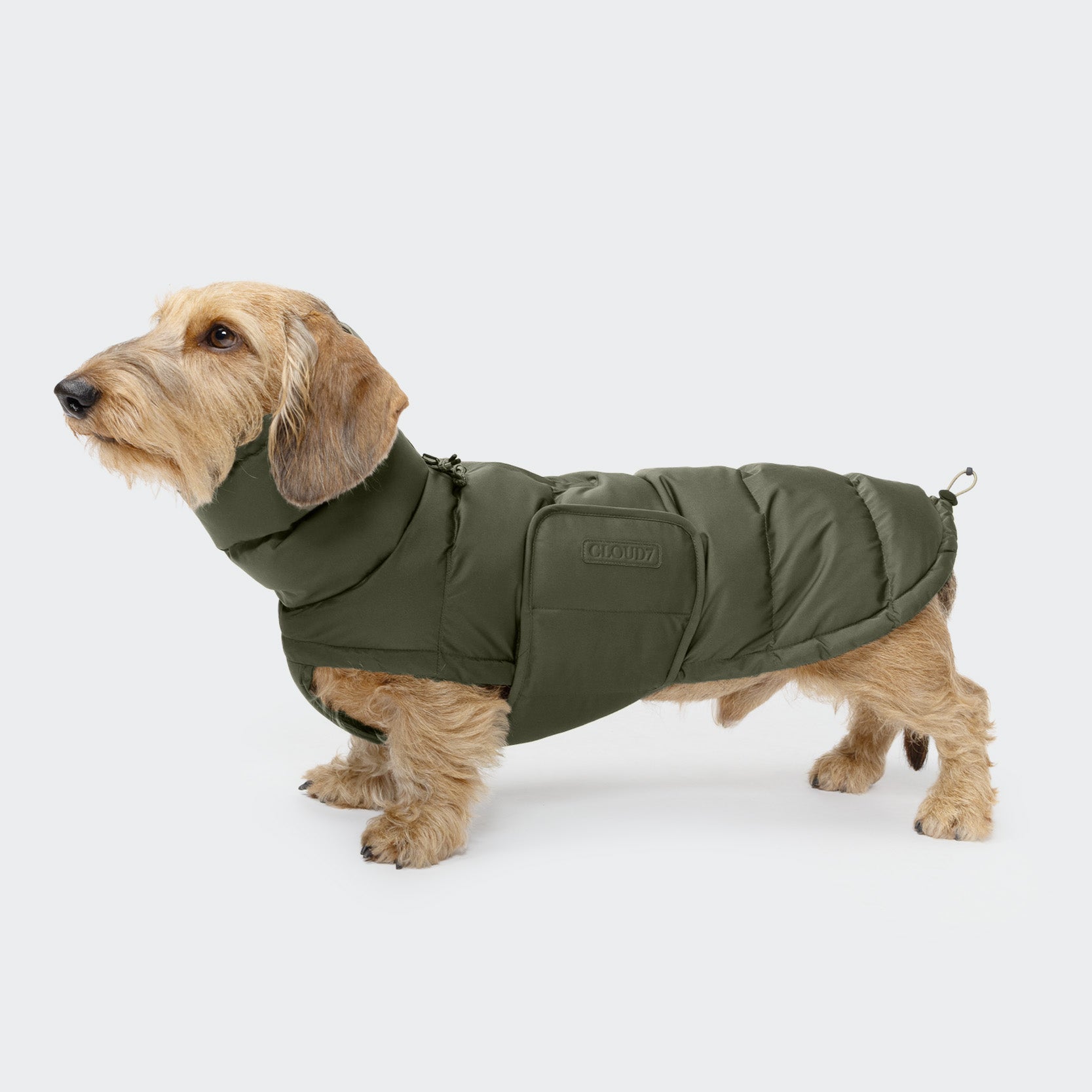 cloud7-alaska-hundemantel-f-r-dackel-light-olive image 1