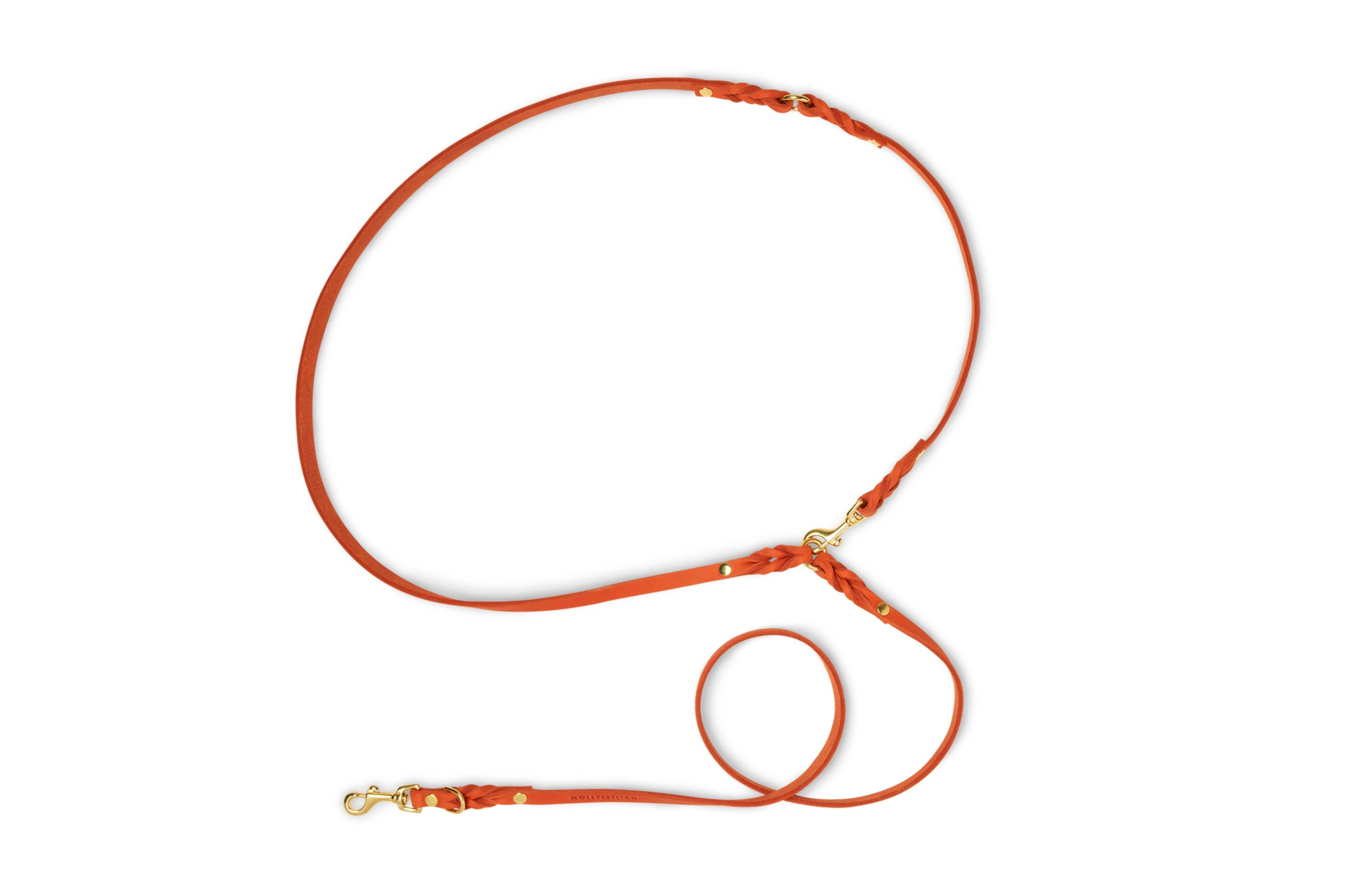 molly-and-stitch-butter-leather-hundeleine-mango-3x-verstellbar-200-cm image 3