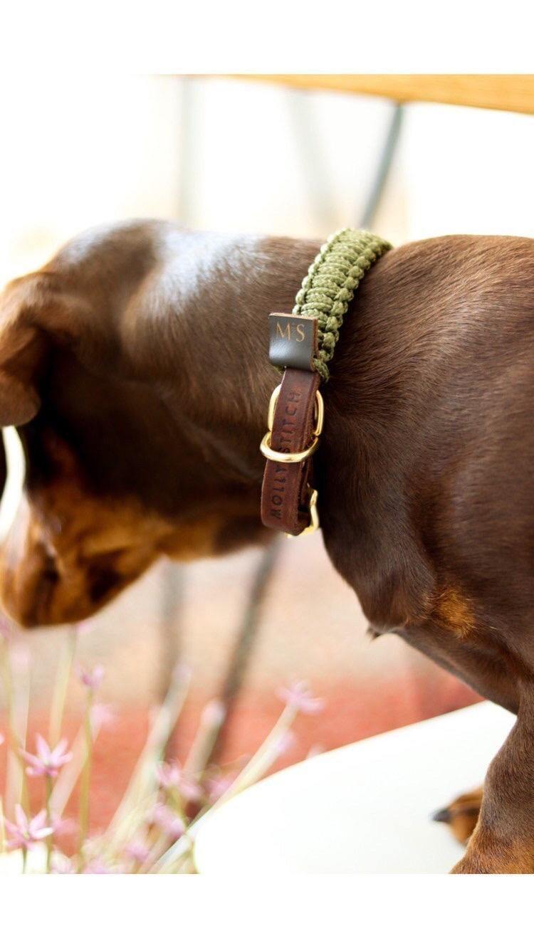 molly-and-stitch-touch-of-leather-hundehalsband-military image 4