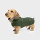 cloud7-hundemantel-brooklyn-flannel-fern-green-dackelmantel-mit-fleece image 6