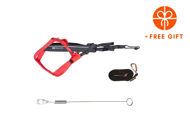 non-stop-dogwear-biking-kit-pink-gray-bikej-ring-set-mit-freemotion-harness-5-0 image 1