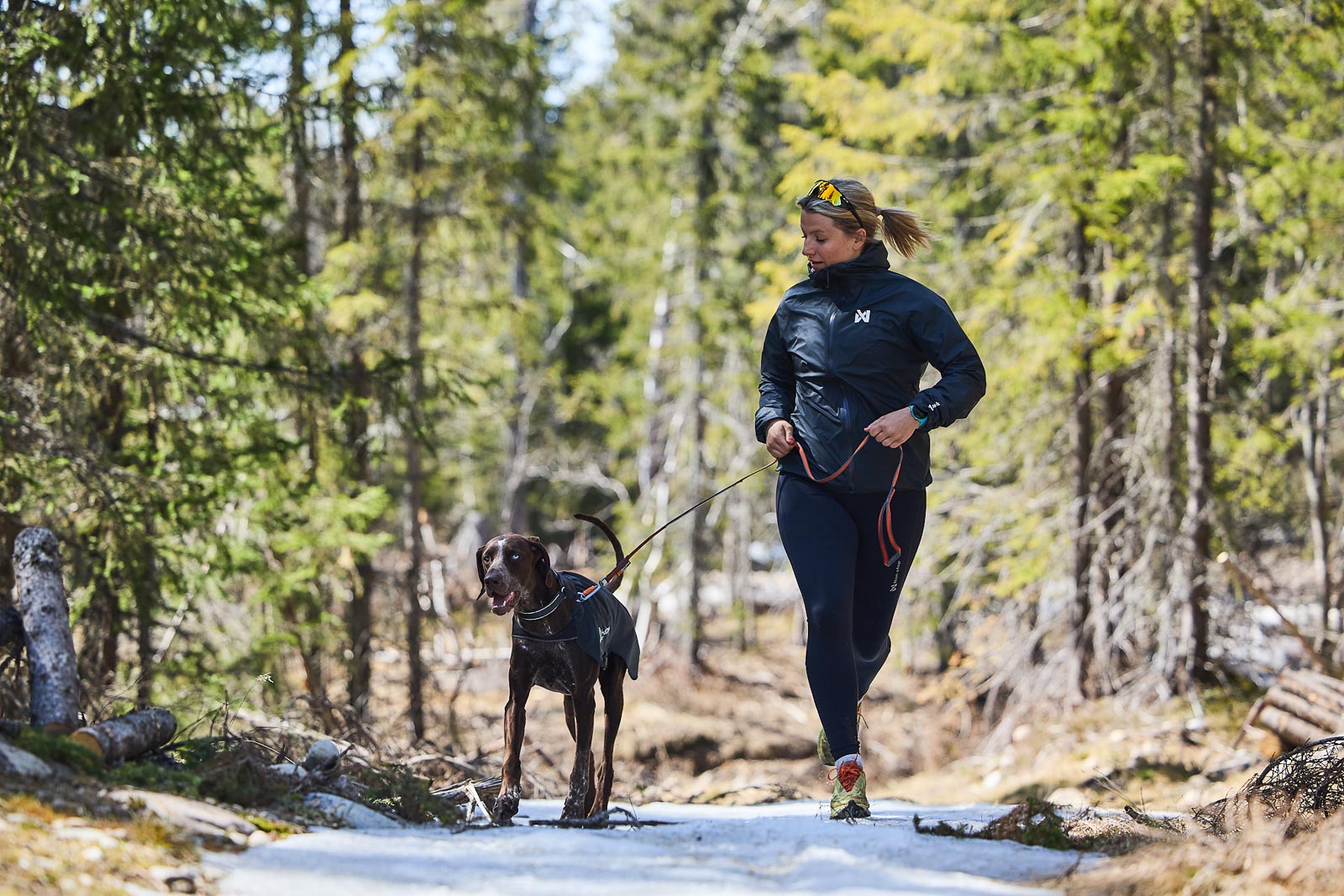 non-stop-dogwear-trail-light-dog-jacket-ultraleichte-packbare-hunde-regenjacke image 4