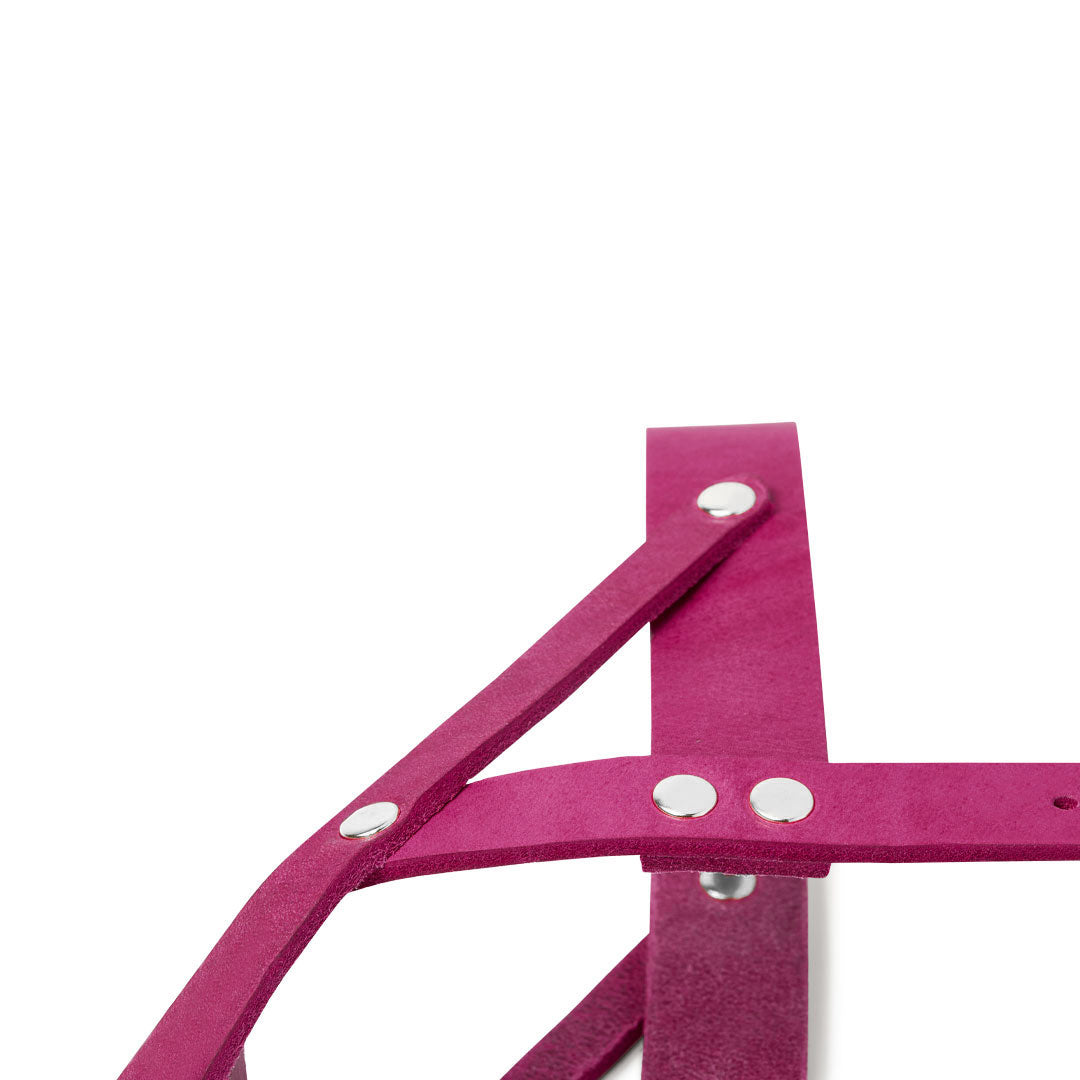 molly-and-stitch-butter-leder-hundegeschirr-flamingo image 7