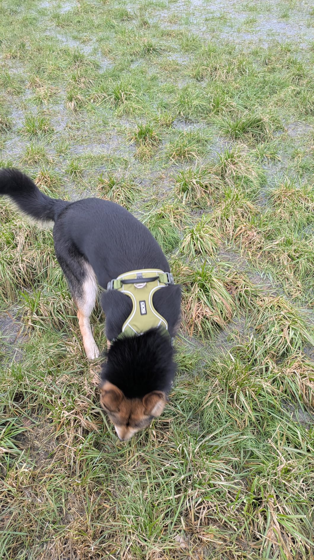 Super fürs Training