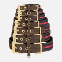 william-walker-charles-leder-hundehalsband-limited-crazy-horse-leather-braun image 4