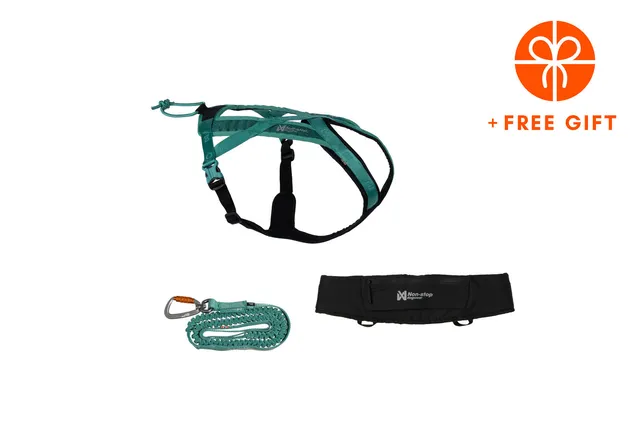 non-stop-dogwear-rush-kit-teal-laufset-mit-geschirr-und-bungee-leine image 1