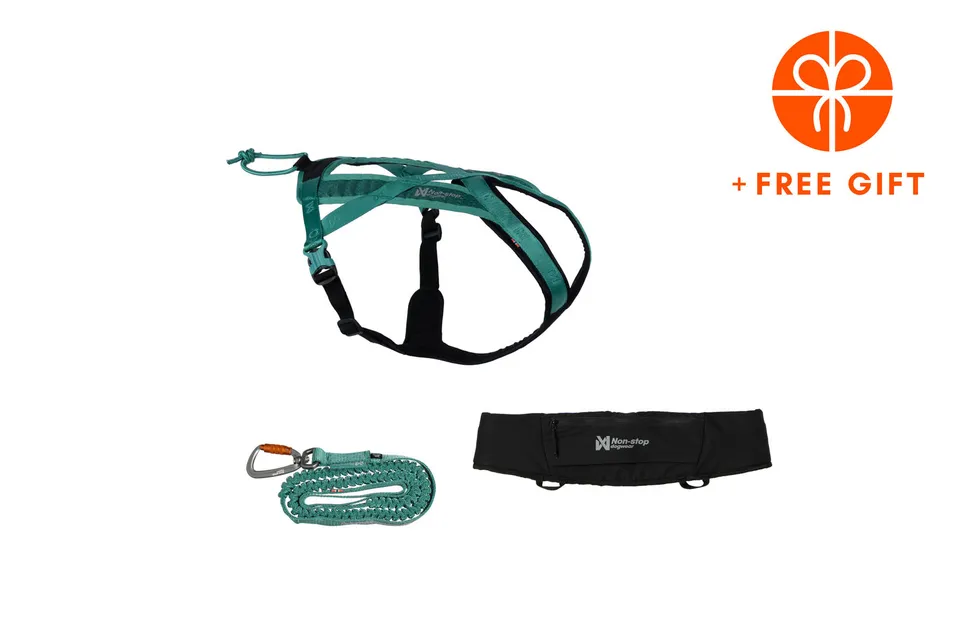 non-stop-dogwear-rush-kit-teal-laufset-mit-geschirr-und-bungee-leine image 1